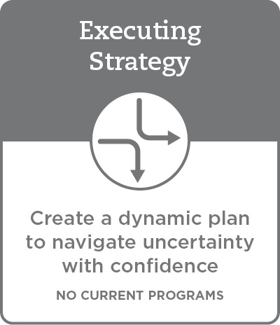 Executing Strategy No Current Programs