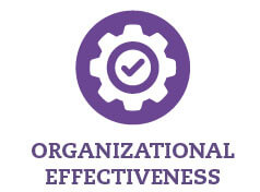 Organizational Effectiveness icon