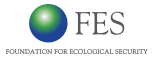 FES logo