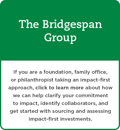 The Bridgespan Group overview