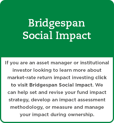 Bridgespan Social Impact overview